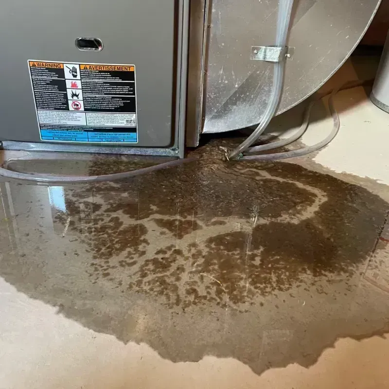 Appliance Leak Cleanup in Cache County, UT